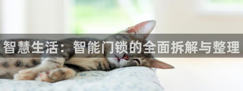 香港利记集团官网招聘：智慧生活：智能门锁的全面拆解与整理