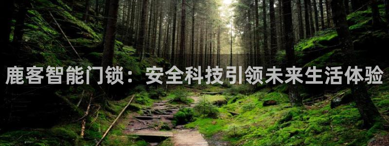 万利记官网电话：鹿客智能门锁：安全科技引领未来生活体验