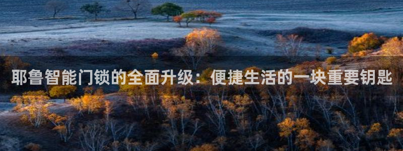 利记官网加盟：耶鲁智能门锁的全面升级：便捷生活的一块重要钥匙