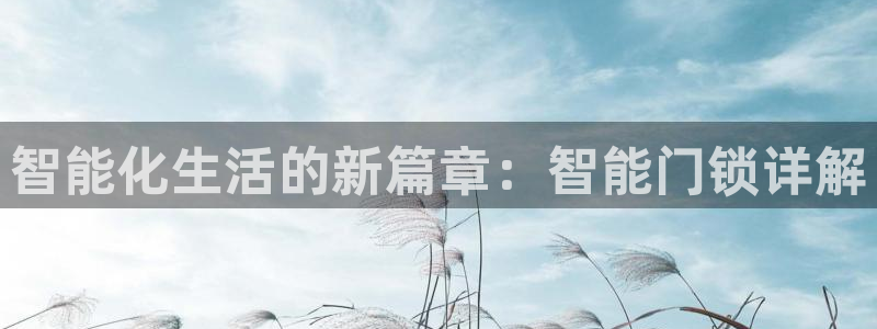 利记官网平台：智能化生活的新篇章：智能门锁详解