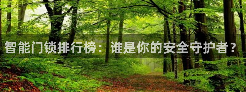 利记投注平台官网：智能门锁排行榜：谁是你的安全守护者？