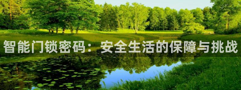 利记国际官网：智能门锁密码：安全生活的保障与挑战