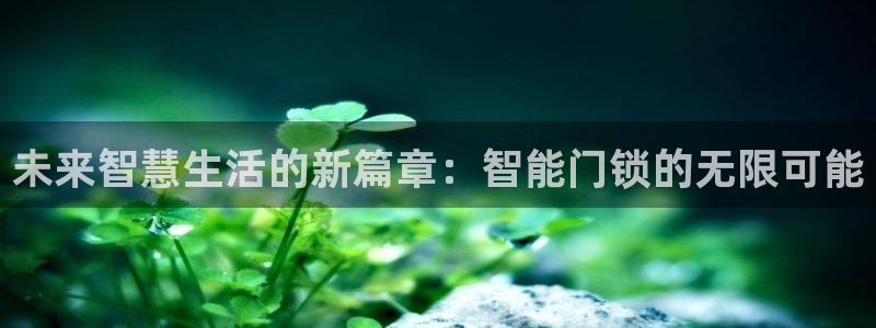 利记博彩官网APP：未来智慧生活的新篇章：智能门锁的无限可能