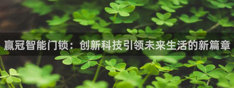 利记的官网：赢冠智能门锁：创新科技引领未来生活的新篇章