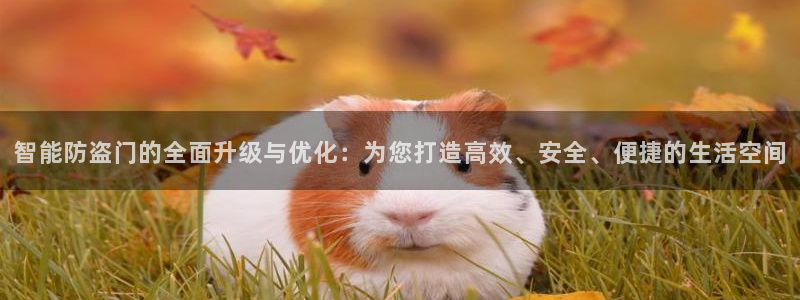 利记坊官网：智能防盗门的全面升级与优化：为您打造高效、安全、
