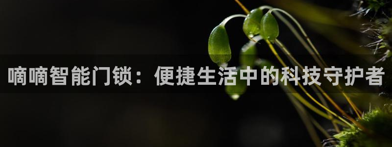 SBOBET利记官网：嘀嘀智能门锁：便捷生活中的科技守护者