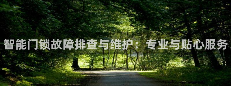 利记官网登录：智能门锁故障排查与维护：专业与贴心服务