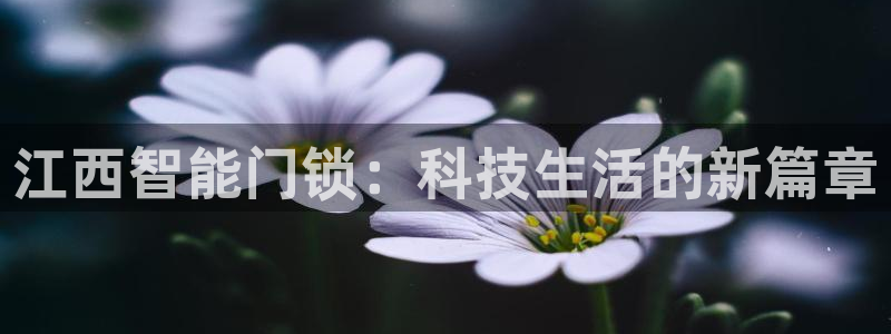 利记官网在线投注：江西智能门锁：科技生活的新篇章