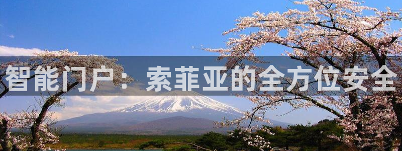 利记坊官网登录：智能门户：索菲亚的全方位安全