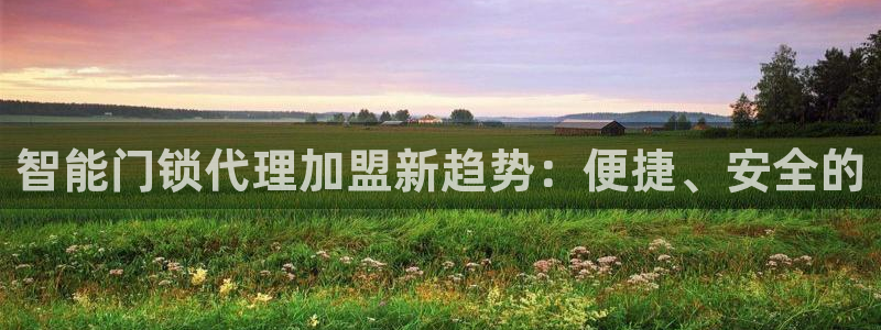 利记sbobe官网：智能门锁代理加盟新趋势：便捷、安全的
