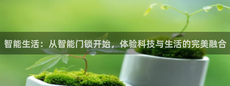 利记集团官网：智能生活：从智能门锁开始，体验科技与生活的完美