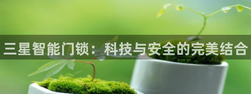 利记sbobet官网：三星智能门锁：科技与安全的完美结合