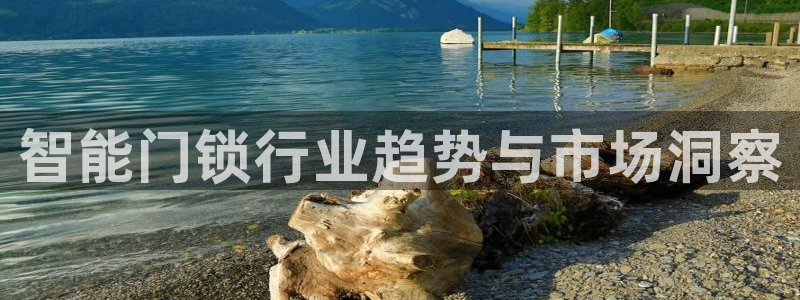 利记官网登录：智能门锁行业趋势与市场洞察