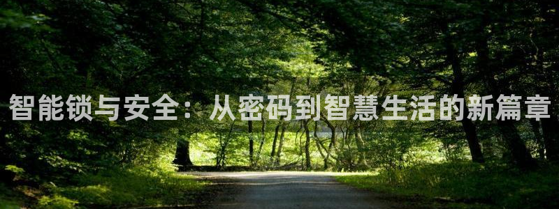万利记官网：智能锁与安全：从密码到智慧生活的新篇章