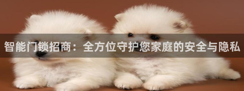 利记 利记官网：智能门锁招商：全方位守护您家庭的安全与隐私