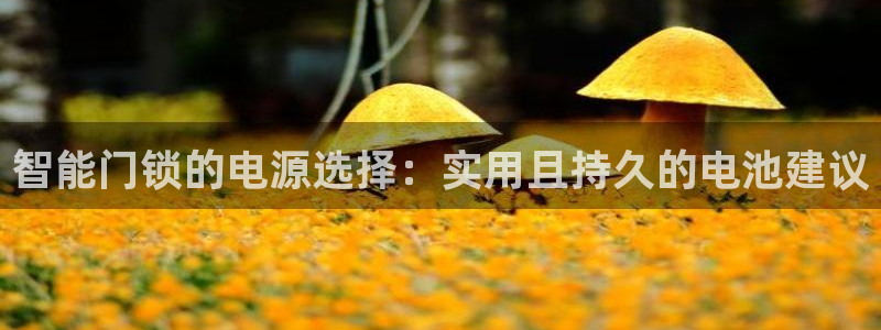 利记体育app官网：智能门锁的电源选择：实用且持久的电池建议