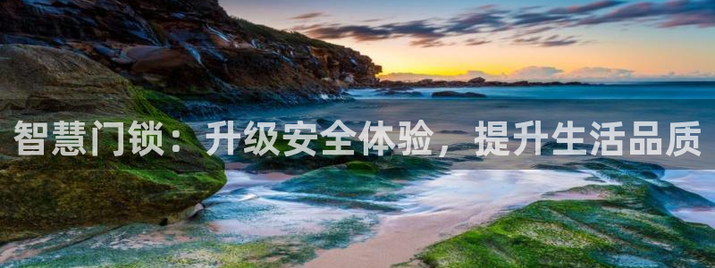 大利来记官网：智慧门锁：升级安全体验，提升生活品质