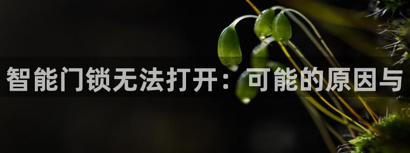 利记彩票官网hd71：智能门锁无法打开：可能的原因与