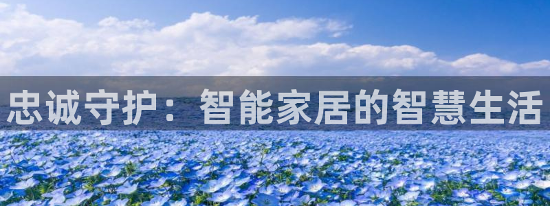 利记 利记官网：忠诚守护：智能家居的智慧生活