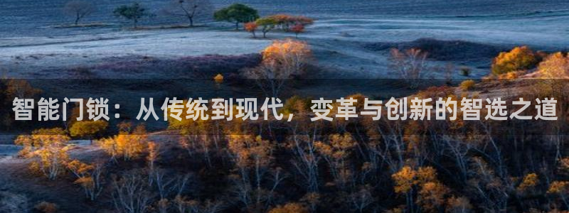 利记官网开户：智能门锁：从传统到现代，变革与创新的智选之道