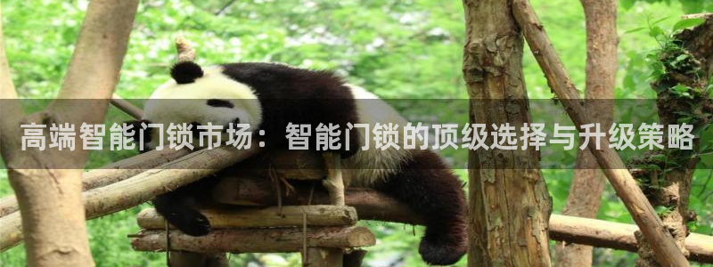 香港利记lee kee集团官网：高端智能门锁市场：智能门锁的