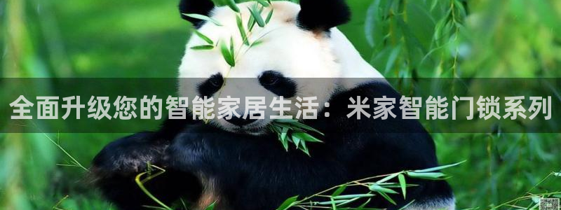 利记信誉官网：全面升级您的智能家居生活：米家智能门锁系列