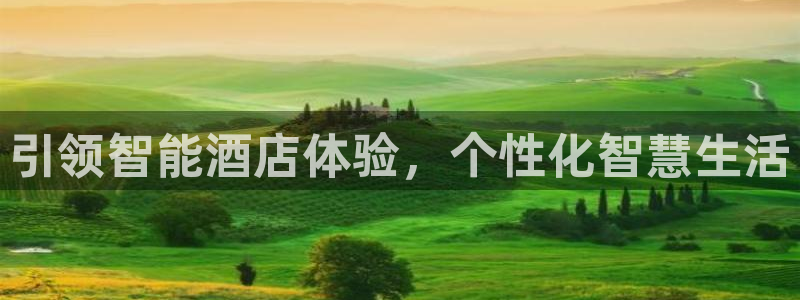 利记亚洲官网：引领智能酒店体验，个性化智慧生活