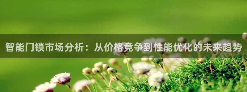 利记app官网：智能门锁市场分析：从价格竞争到性能优化的未来