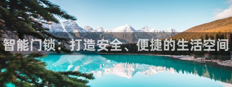 利记彩票官网hd71：智能门锁：打造安全、便捷的生活空间