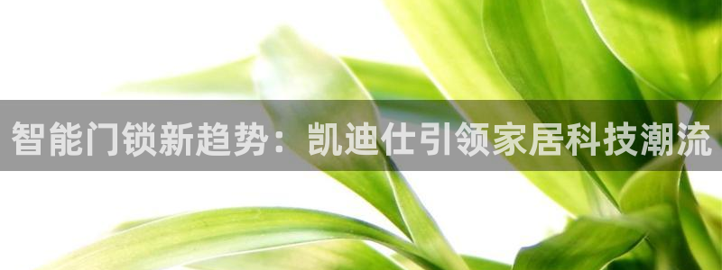 利记体育官网：智能门锁新趋势：凯迪仕引领家居科技潮流