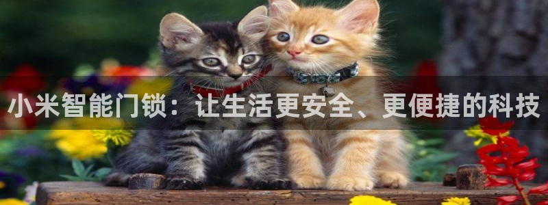 利记坊官网：小米智能门锁：让生活更安全、更便捷的科技