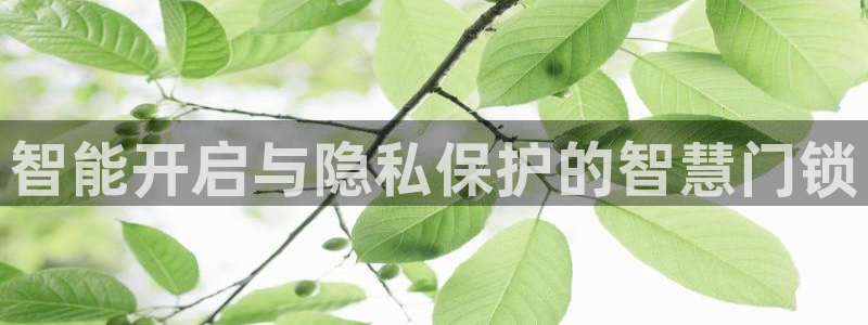 sbobet利记官网登录入口：智能开启与隐私保护的智慧门锁