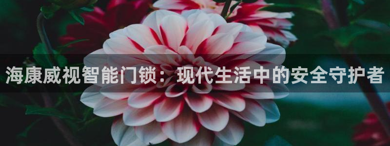 利记娱乐网官网：海康威视智能门锁：现代生活中的安全守护者