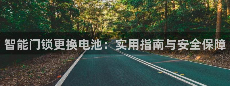 林利记官网：智能门锁更换电池：实用指南与安全保障