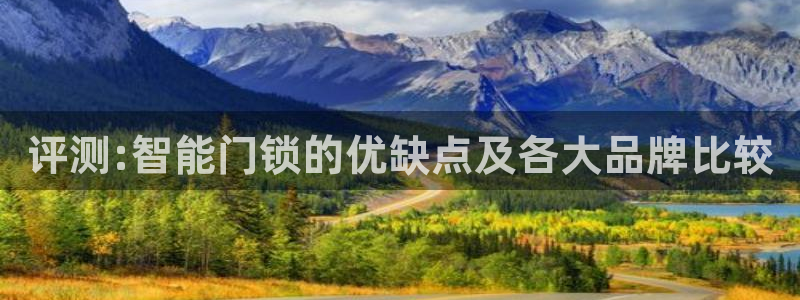 利记坊官网注册账号申请：评测:智能门锁的优缺点及各大品牌比较