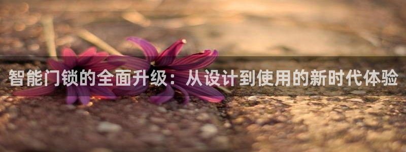 利记投注平台官网：智能门锁的全面升级：从设计到使用的新时代体