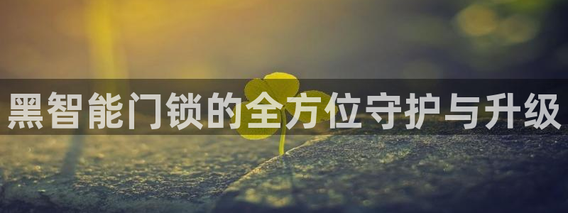 利记官网app下载网址日博官网网址：黑智能门锁的全方位守护与