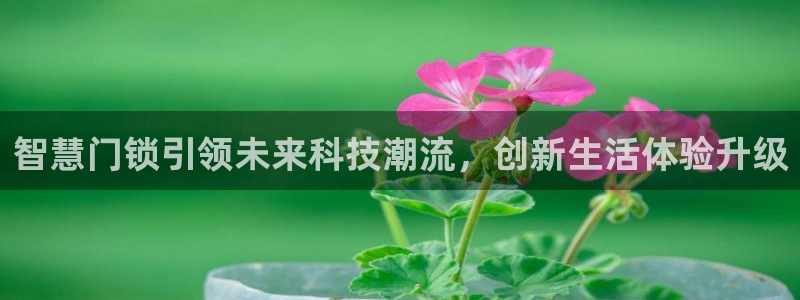 利记官网官方网址：智慧门锁引领未来科技潮流，创新生活体验升级