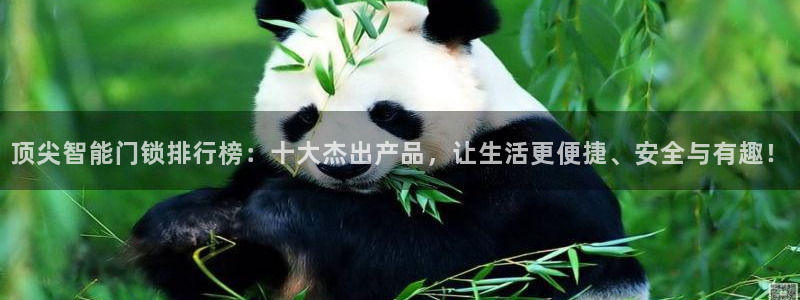 利记信誉官网：顶尖智能门锁排行榜：十大杰出产品，让生活更便捷