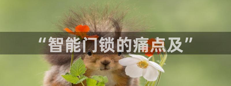 利记官网多少：“智能门锁的痛点及”