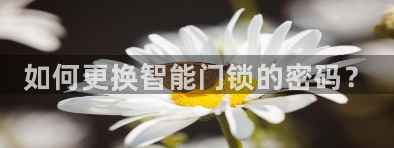 万利记加盟官网电话：如何更换智能门锁的密码？