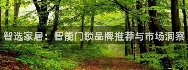 万利记唯一官网：智选家居：智能门锁品牌推荐与市场洞察