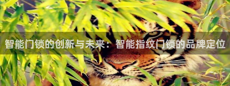 利记手机官网银河网：智能门锁的创新与未来：智能指纹门锁的品牌