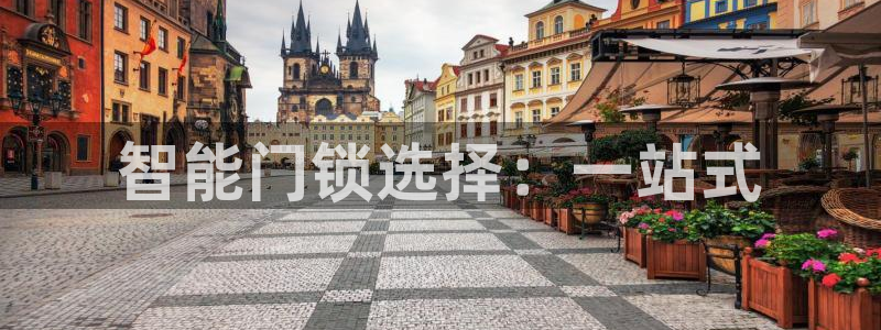 利记手机官网bb电子平台官方：智能门锁选择：一站式