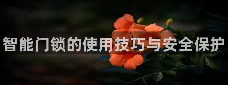 利记官网官方网站：智能门锁的使用技巧与安全保护
