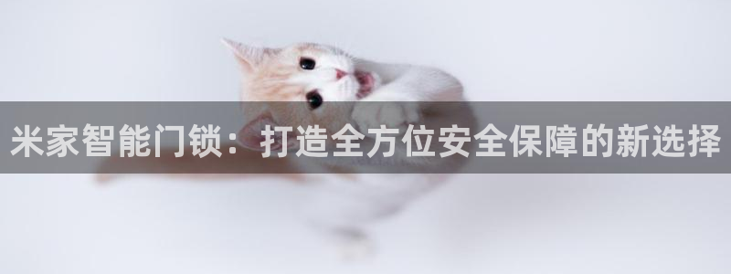 利记厨具官网售后：米家智能门锁：打造全方位安全保障的新选择