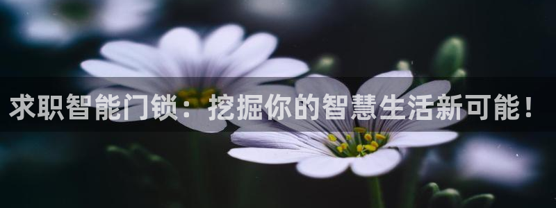 利记官网注册网：求职智能门锁：挖掘你的智慧生活新可能！
