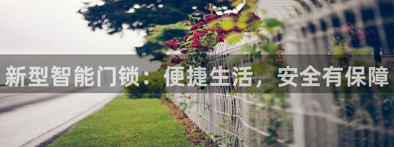 利记亚洲官网：新型智能门锁：便捷生活，安全有保障