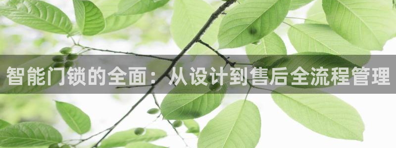 利记官网官方网站：智能门锁的全面：从设计到售后全流程管理