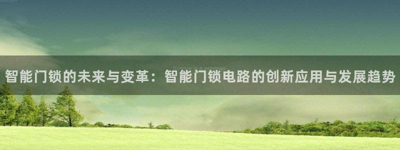 利记官网加盟：智能门锁的未来与变革：智能门锁电路的创新应用与